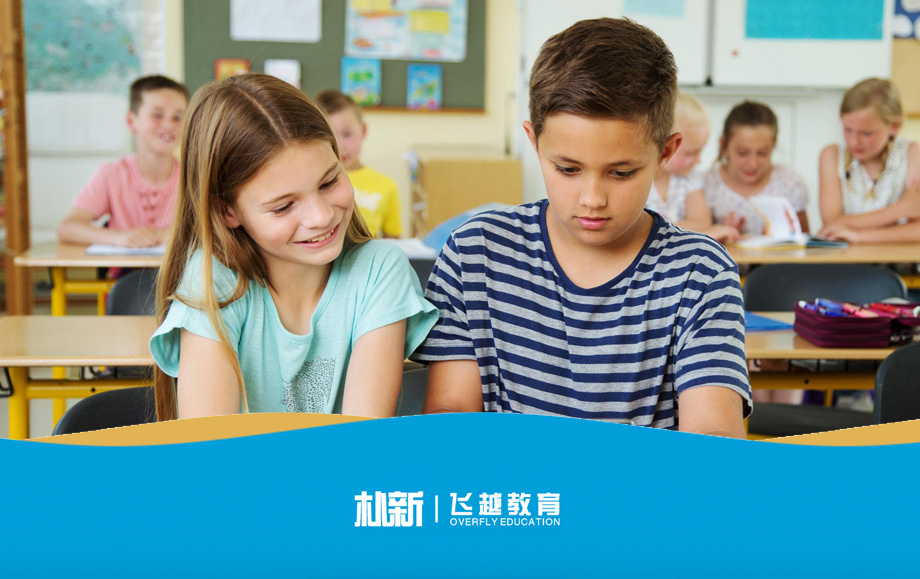 朴新教育_网站建设，教育培训机构网站，学校官网
